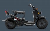 2013 Honda Ruckus photo